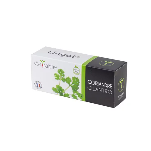 Jardin actuel:Lingot Coriandre Bio