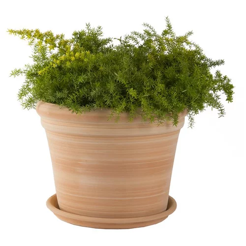 Accessoire au jardin：Pot gamme Cocio bordo Ø 42 cm