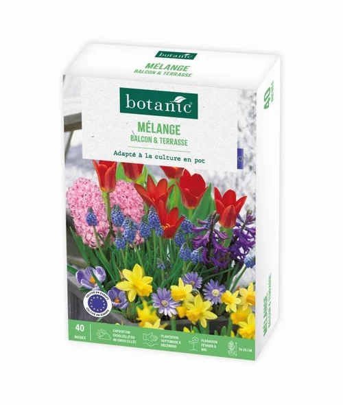 Choix jardin：Mélange balcon et terrasse botanic® - 40 bulbes