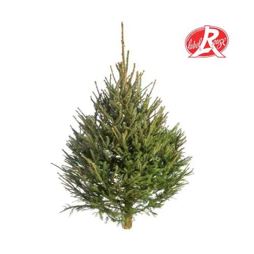 Bien utile au jardin:Sapin de Noël naturel coupé Label Rouge Picea Excelsa