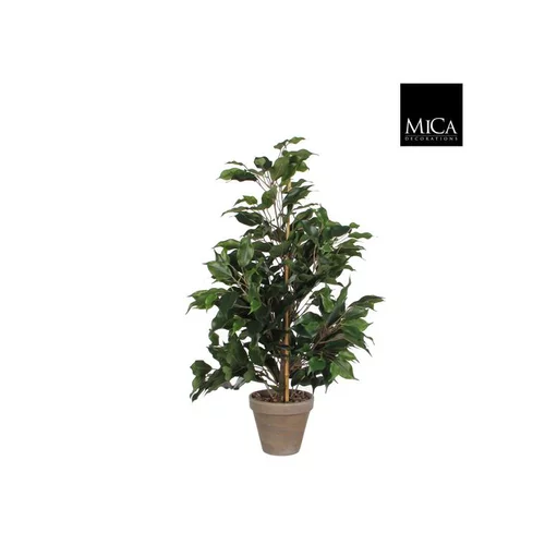 Pour votre projet:Ficus Exotica vert plante artificielle en pot gris H 65 x Ø 40 cm