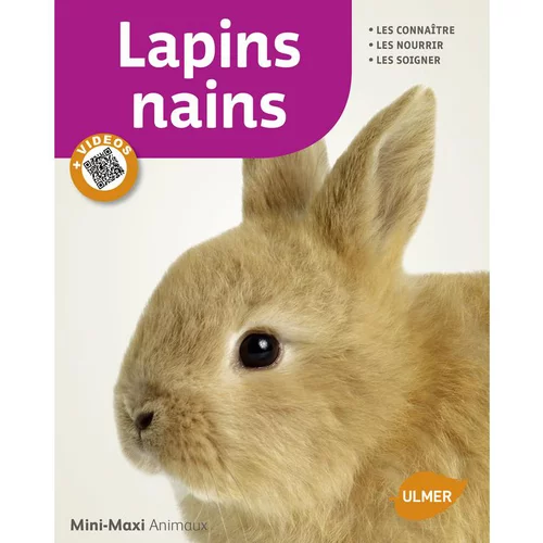 Style extérieur：Lapins Nains 65 pages 17 vidéos Éditions Eugen ULMER