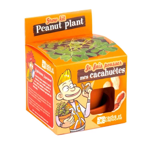 Moderne au jardin:Kit Graines de cacahuètes avec pot et coupelle terre cuite Ø8 cm (À partir de 3 ans)