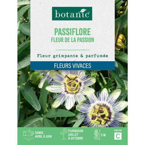 Pour votre projet:Graines de fleurs de Passiflore fleur de la passion botanic®