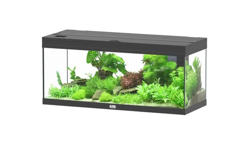 Pour vos jardins：Aquarium coloris noir Aquatlantis Prestige LED 2.0 144 L - 100 x 40 x 40 cm