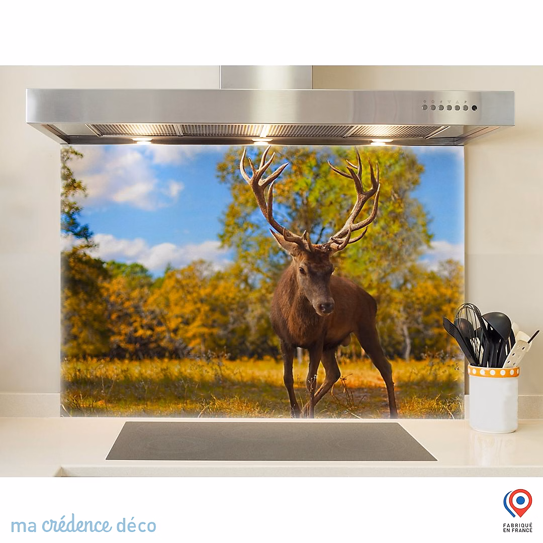Crédence cuisine fond de hotte Jeune cerf | Verre trempé – L 70 cm x H 60 cm – MaCrédenceDéco