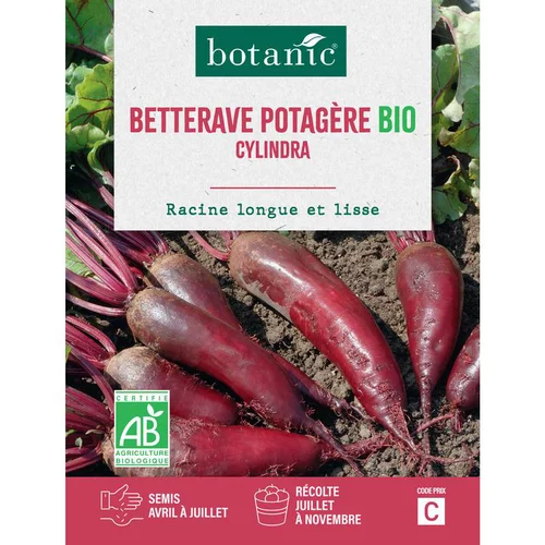 Pour vos jardins:Graines de Betterave potagère cylindra bio botanic® - graines à semer