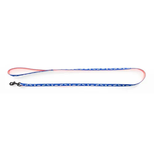 Tendance extérieur:Laisse Cat Bi-color pour chat bleue - 120 cm