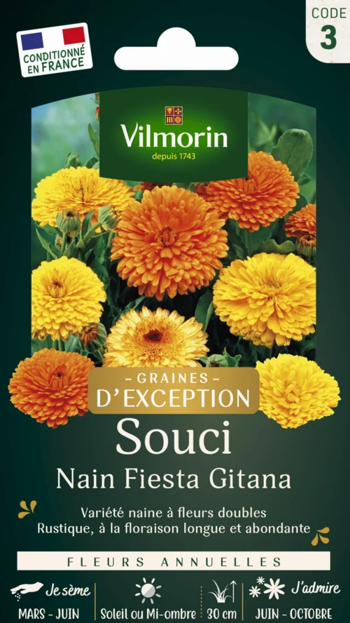 Sélection pour le jardin：Souci Nain Fiesta Gitana Vilmorin - graines à semer