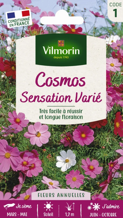 Malin au jardin:Cosmos Sensatoin Varié Vilmorin - graines à semer