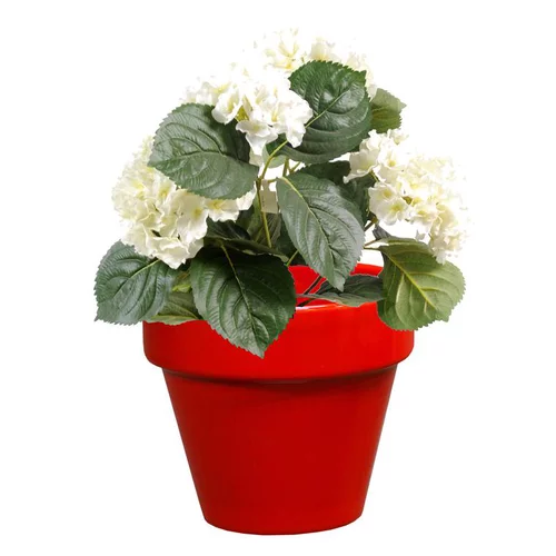 Une idée pour votre jardin：Pot horticole en terre cuite émaillée Rouge – D19 x H17