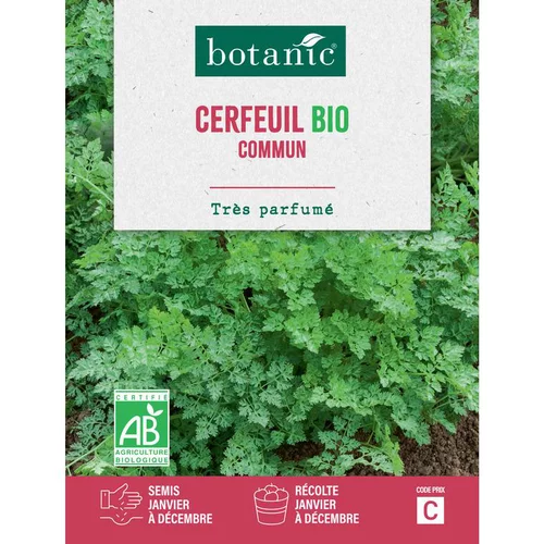 Jardin en pratique:Graines de cerfeuil commun bio botanic® - graines à semer