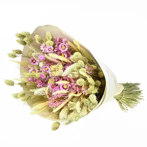 Solution utile:Bouquet de fleurs séchées Naturalys Prestige rose et blanc - Ø 25/30 x H 50 cm