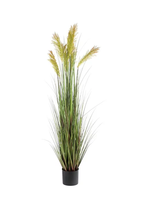 Pour plus de praticité à l’extérieur:Pot de graminée épis coloris vert - 145 x 32 x 15 cm
