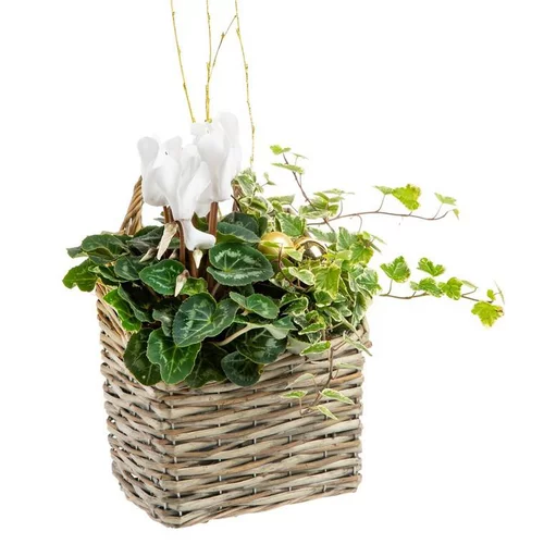 Autour du jardin：Composition de Noël Suspension Osier Cyclamen et Lierre - Osier gris