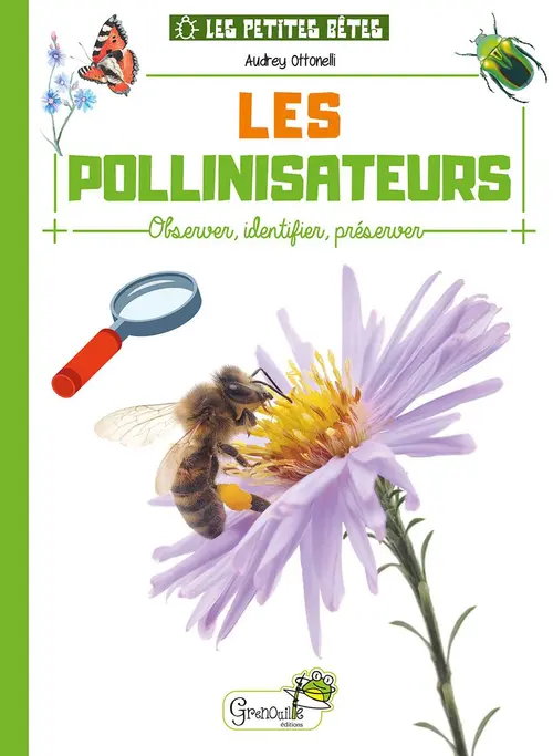 Extérieur durable：Livre "Les pollinisateurs" collection Les petites bêtes aux Éditions Grenouille