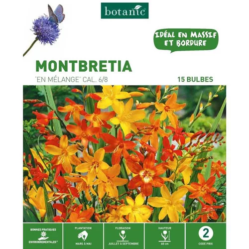 Jardin expert:Montbretia Mélange botanic® - 15 bulbes