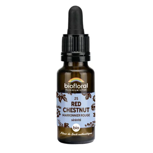 Pour vos envies d’extérieur:Élixir n°25 Biofloral de marronnier rouge en flacon de 20 ml