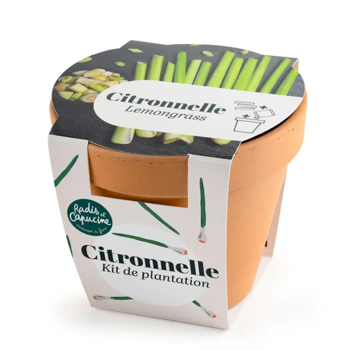 Espace vert pratique：Pot en terre cuite antique avec graines de citronnelle bio Radis & Capucine