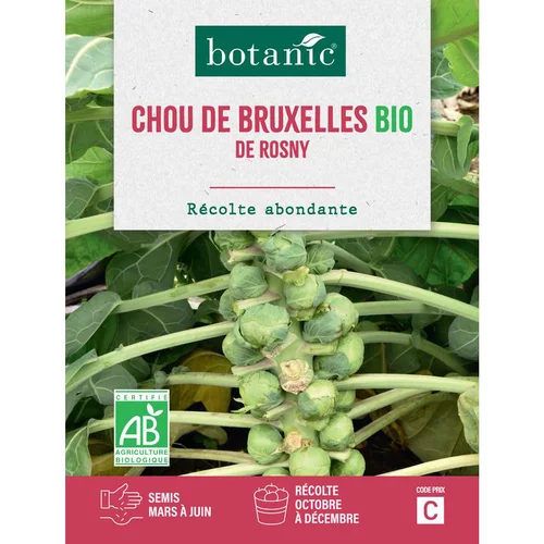 Une solution adaptée au jardin：Graines de chou de Bruxelles de rosny bio botanic® - graines à semer