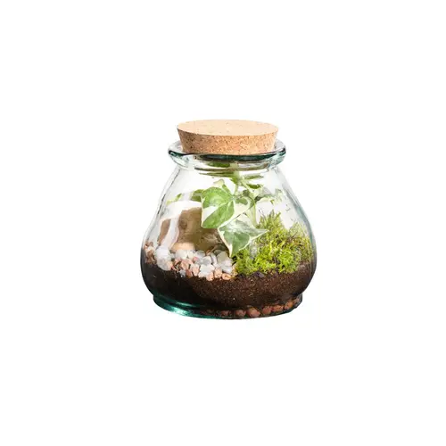 Pour un jardin plus agréable:Terrarium autonome botanic® Bila Uso - Taille S Ø 12 cm H 12 cm