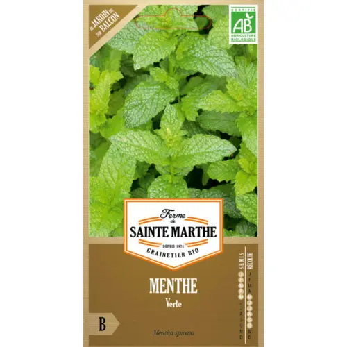 Confort au jardin：Sachets de graines de menthe verte bio - 500 graines