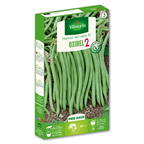 Solution jardin:Graines haricot vert sans fil Oxinel 2 Vilmorin - graines à semer