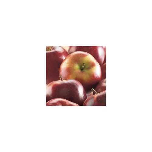 Idéal au jardin：Pommier Tentation® Delblush. Le pot de 20 litres, forme palmette U double
