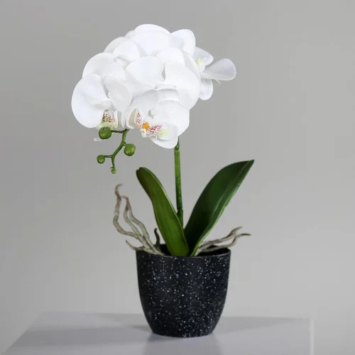 Jardin maison:Orchidée Phalaénopsis artificielle blanche en pot céramique crème – 48 cm