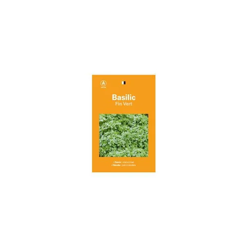 Moderne au jardin：Graines de basilic fin vert sélection premier prix - graines à semer