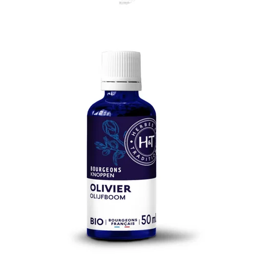 Pour aménager vos extérieurs：Complément alimentaire gemmo macérat olivier bio Herbes et Traditions - 50 ml