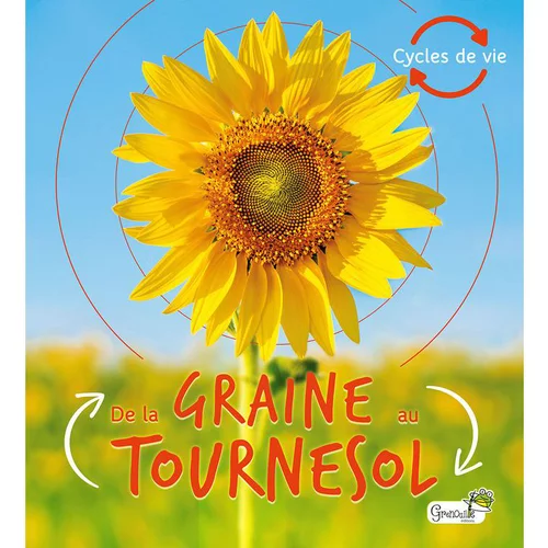 À avoir pour l’extérieur：De la graine au tournesol aux éditions Grenouille