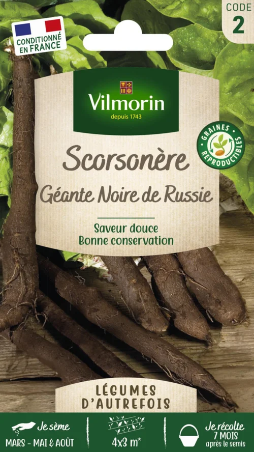 Espace vert pratique：Scorsonère Géante Noire de Russie Vilmorin - graines à semer