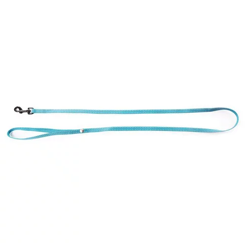 Au quotidien：Laisse réfléchissante pour chat Flash bleu turquoise - 100 cm