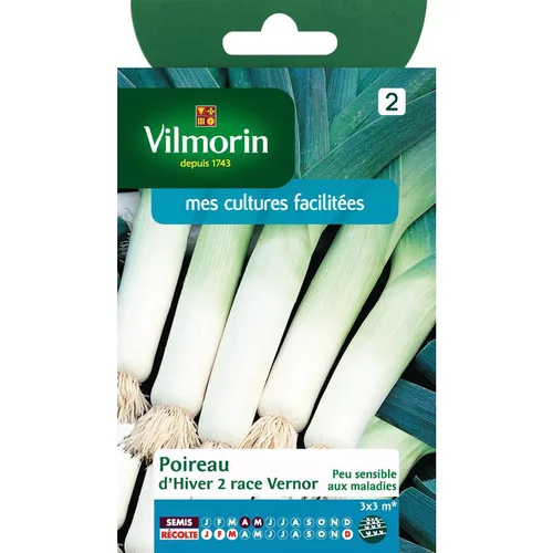 Indispensable au jardin:Graines de poireau hiver race vernor Vilmorin - graines à semer