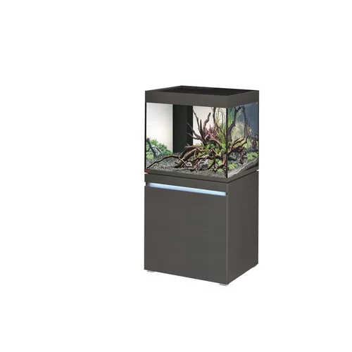 Pour la maison et le jardin:Aquarium eau douce avec meuble coloris graphite Eheim Incpiria 230L