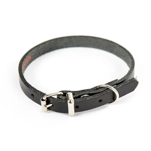Inspiration jardin:Collier en cuir noir pour chien 1,2x33 cm