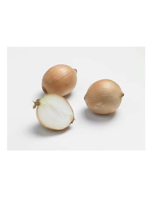 Jardin nature:Oignon Sturon AB bio calibre 10/21 botanic® bulbes à planter - Le filet de 500 g
