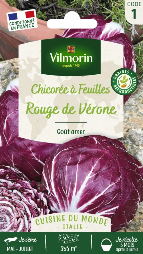 Extérieur adapté:Chicorée à feuilles rouge de Vérone Vilmorin - graines à semer