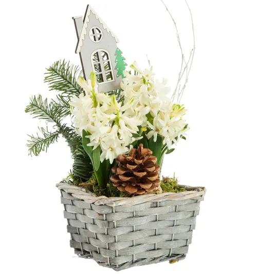Sélection malin:Composition florale automne hiver en cache-pot gris tressé - Ø 20 cm