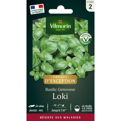 Pour votre confort au jardin:Sachet de semences potagères graines de basilic genovese loki