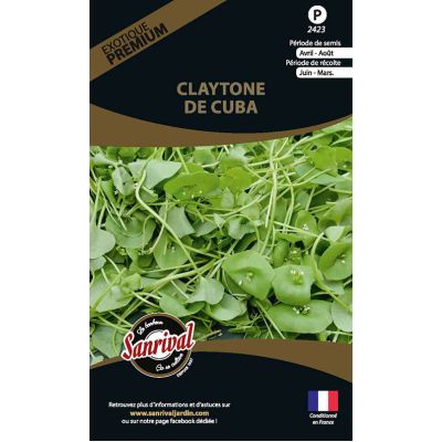 Graines potagères premium Claytone de Cuba