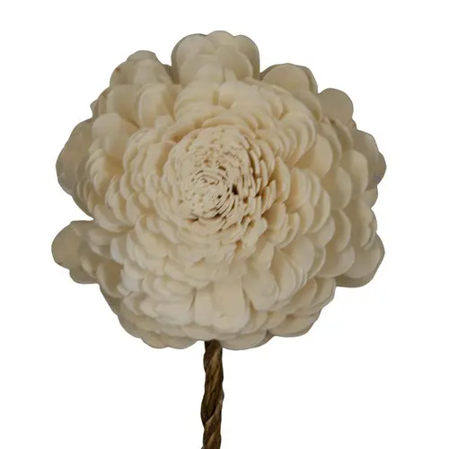 Côté extérieur:Fleur de sola blanc cassé belli nature - Ø 12 x H 65 cm