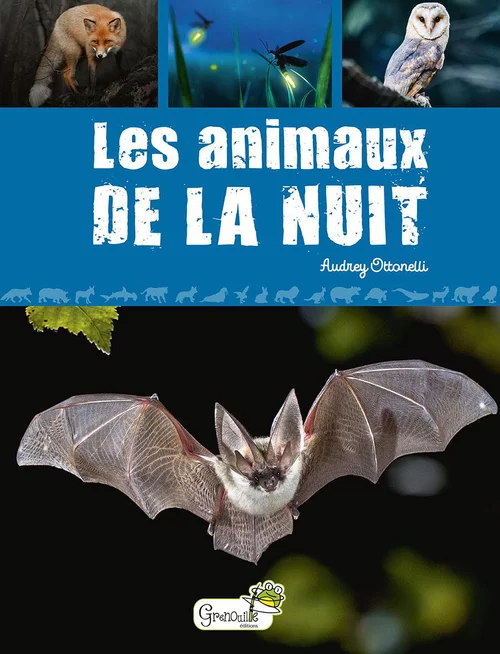 Une solution pratique pour le jardin:Livre "Les animaux de la nuit" Artemis