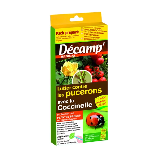Vie extérieure：Coccinnelles Septempunctata Décamp’ - La boite