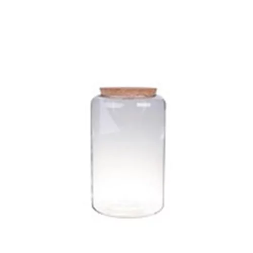 Esprit jardin:Vase Mia bouchon liège S Ø19xH40 cm