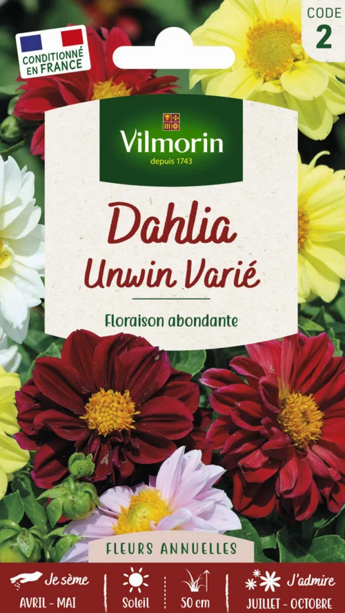 Pour vos moments en extérieur：Dahlia Unwin Varié Vilmorin - graines à semer