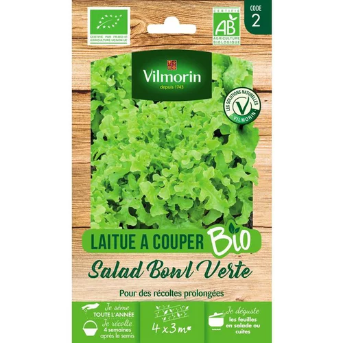 Une sélection pensée pour l’extérieur：Graines de laitue à couper salad bowl bio Vilmorin - graines à semer