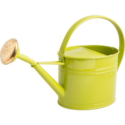 Arrosoir en acier galvanisé avec pomme 1.75 litres (Vert olive)