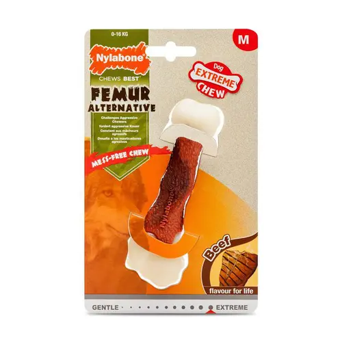 À adopter pour l’extérieur：Os à mâcher Nylabone Fémur bœuf Extrem taille M